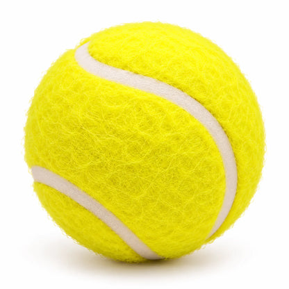 ToyPaws Yellow Felt Tennis Ball Dog Toy – Fetch Ball for Play, 6.5 cm